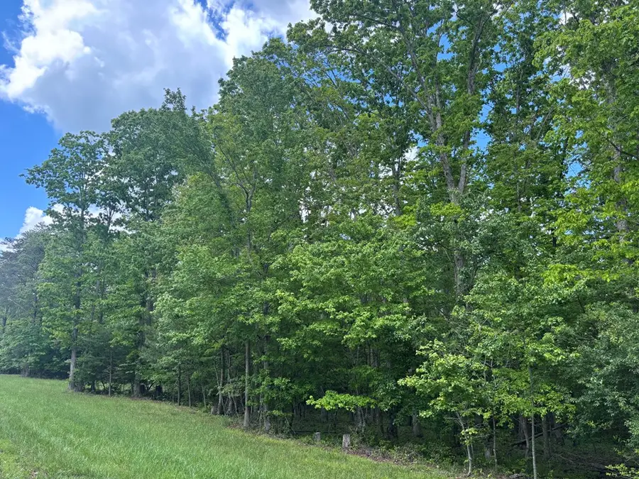 6.05 AC Saddle Lane, Spencer, TN 38585 - #2