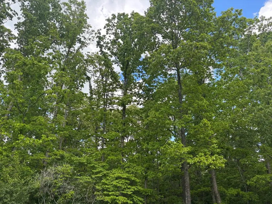 6.05 AC Saddle Lane, Spencer, TN 38585 - #3