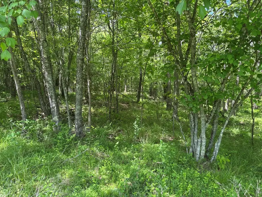 5.71 AC Saddle Lane, Spencer, TN 38585 - #3