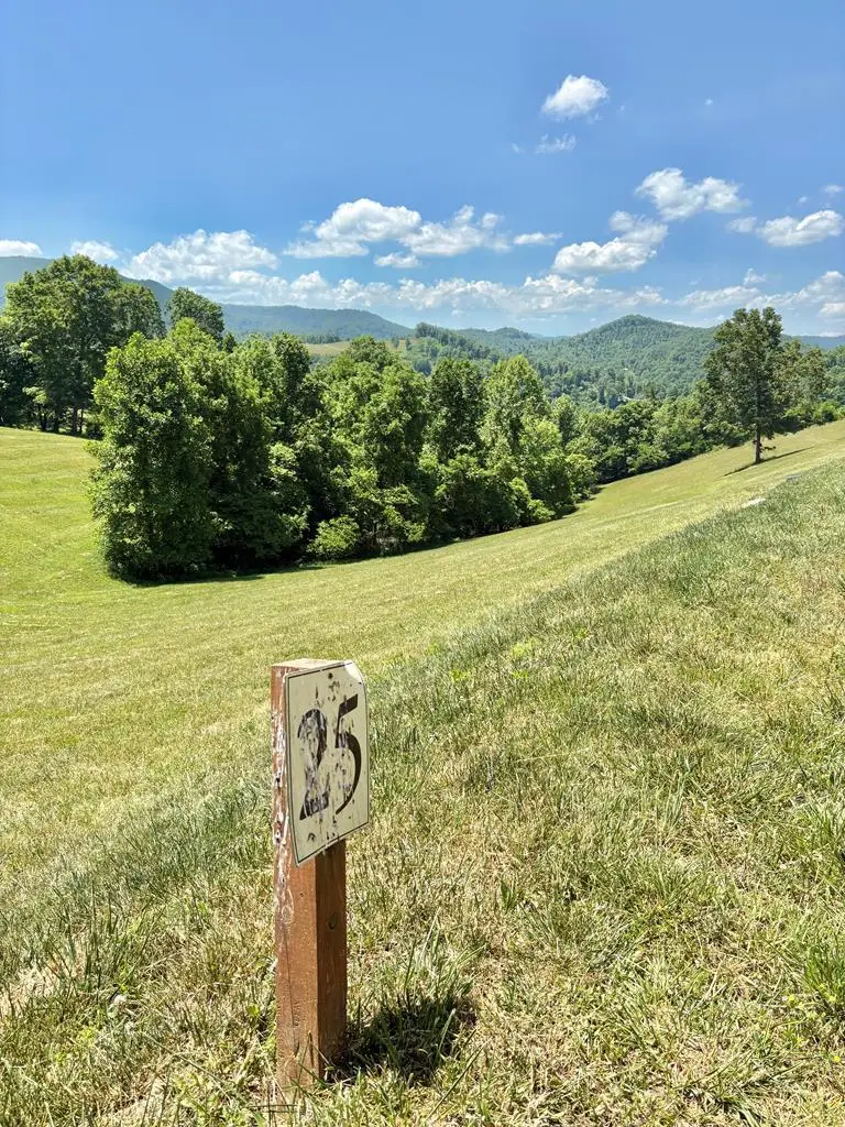 LOT 25 Draft, Butler, TN 37640 - #1