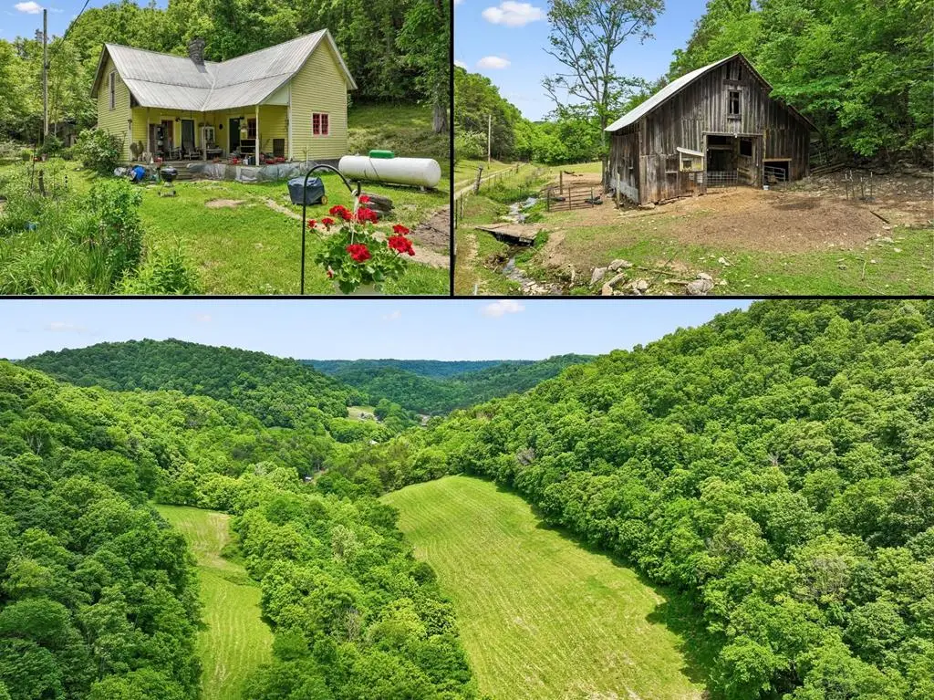 34 Friendship Hollow Rd N, Pleasant Shade, TN 37145 - #1