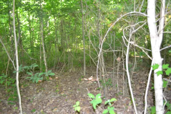 5ac Dynamite Lane, LIVINGSTON, TN 38570