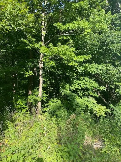 Lot 5 Cooktown Rd, Wilder, TN 38589 - #1