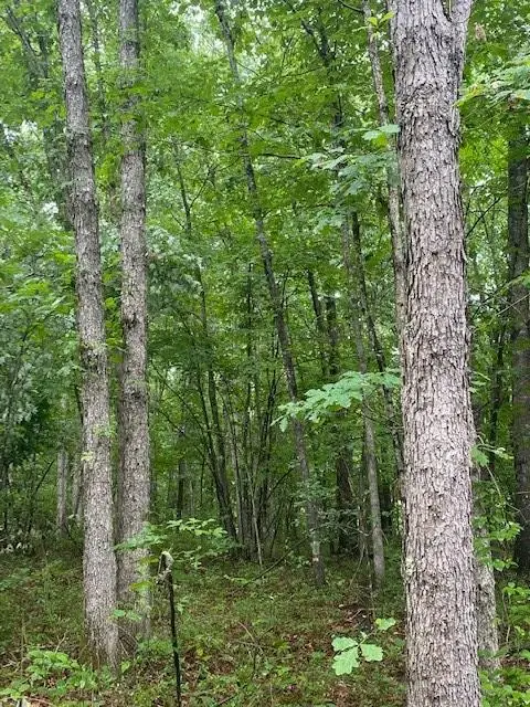 Address Withheld By Seller, Wilder, TN 38589 - #2