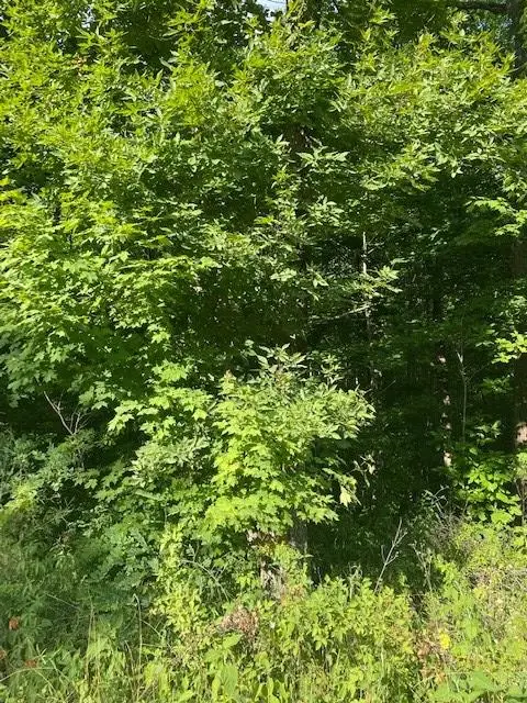 Address Withheld By Seller, Wilder, TN 38589 - #3