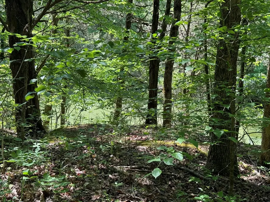 133 Cook Ln, Gainesboro, TN 38562 - #3