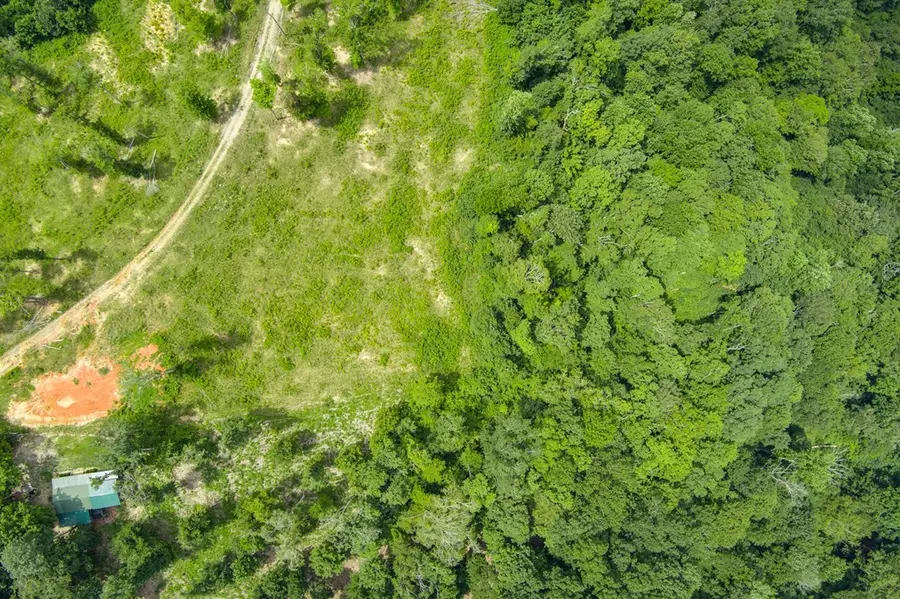 Lot2Tr2 Taylor Rd, Byrdstown, TN 38549 - #2