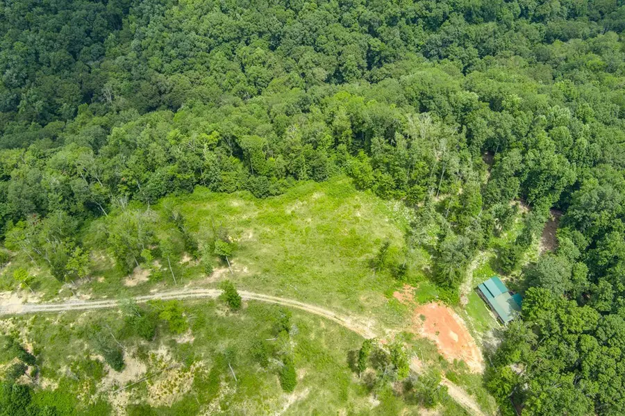 Lot2Tr2 Taylor Rd, Byrdstown, TN 38549 - #3