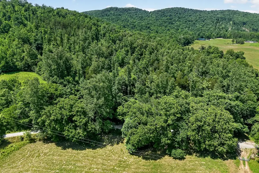 192 Puncheon Creek Rd, Alpine, TN 38542 - #2