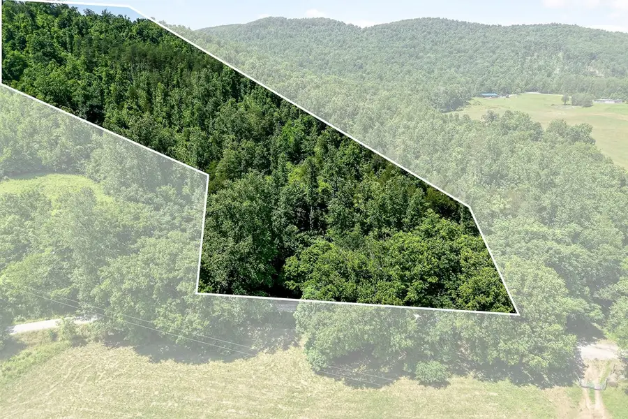 192 Puncheon Creek Rd, Alpine, TN 38542 - #3