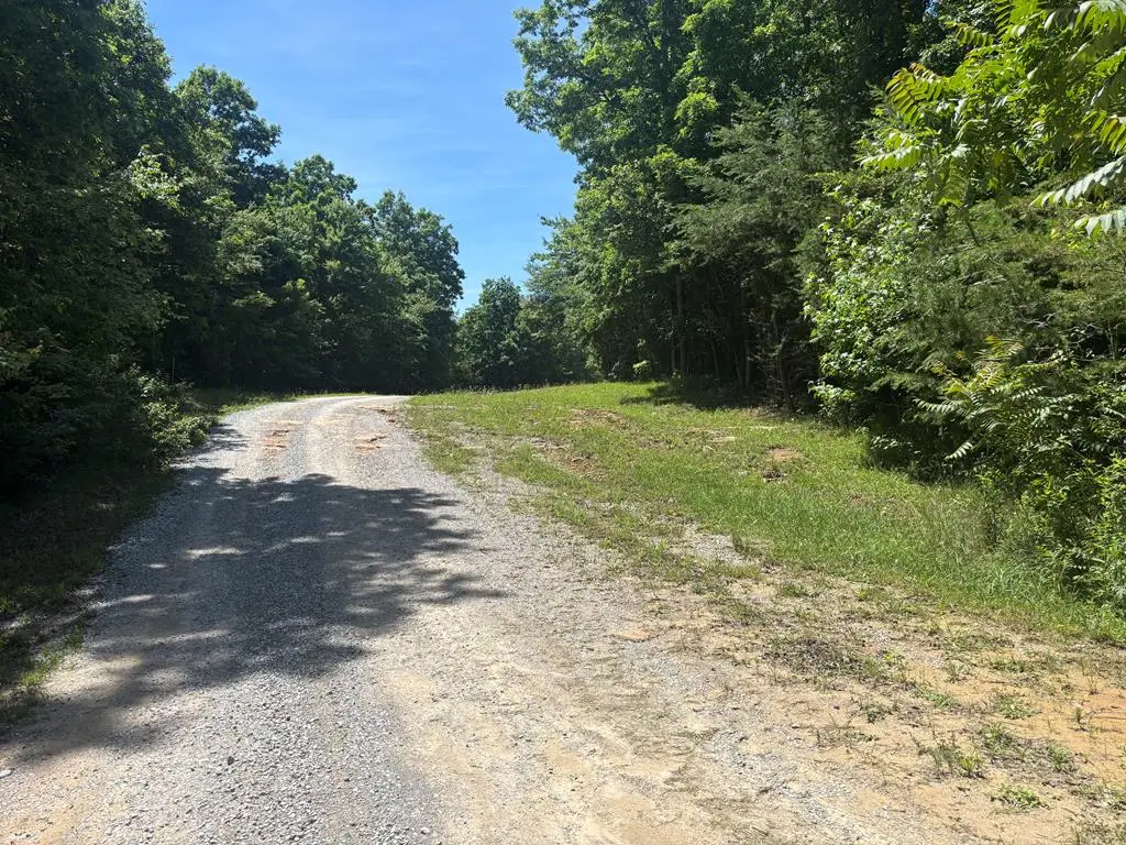 Lot 247 Buck Circle, Spencer, TN 38585 - #1