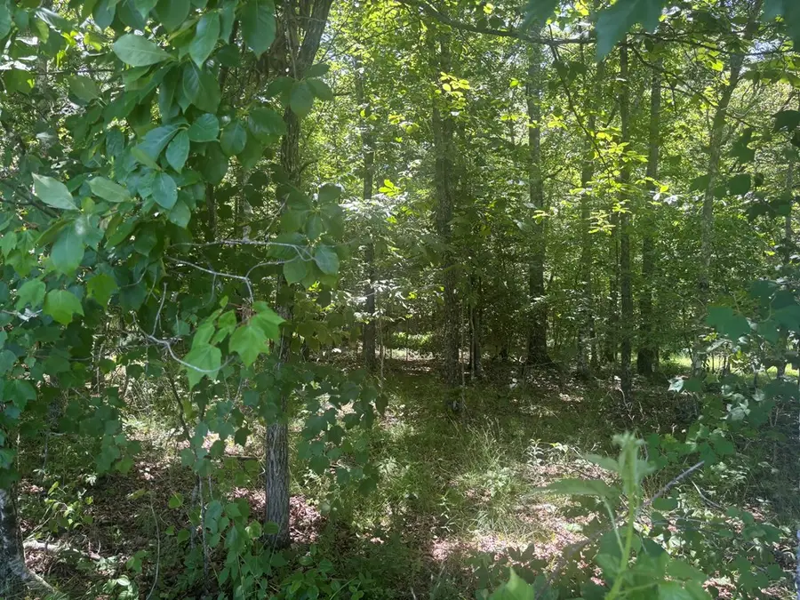 Lot 241 Long Branch Road, Spencer, TN 38585 - #2