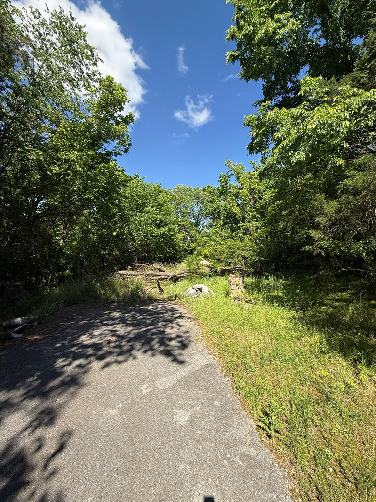 845 Lakeview Dr, Gainesboro, TN 38562 - #1