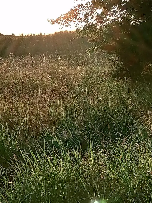 0 Collins Run Lot 52, McMinnville, TN 37110