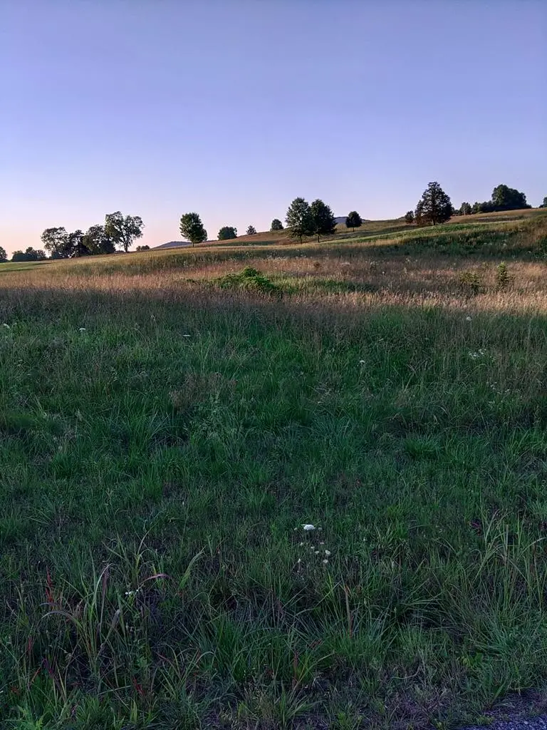 0 Collins River Run Lot 51, McMinnville, TN 37110 - #1