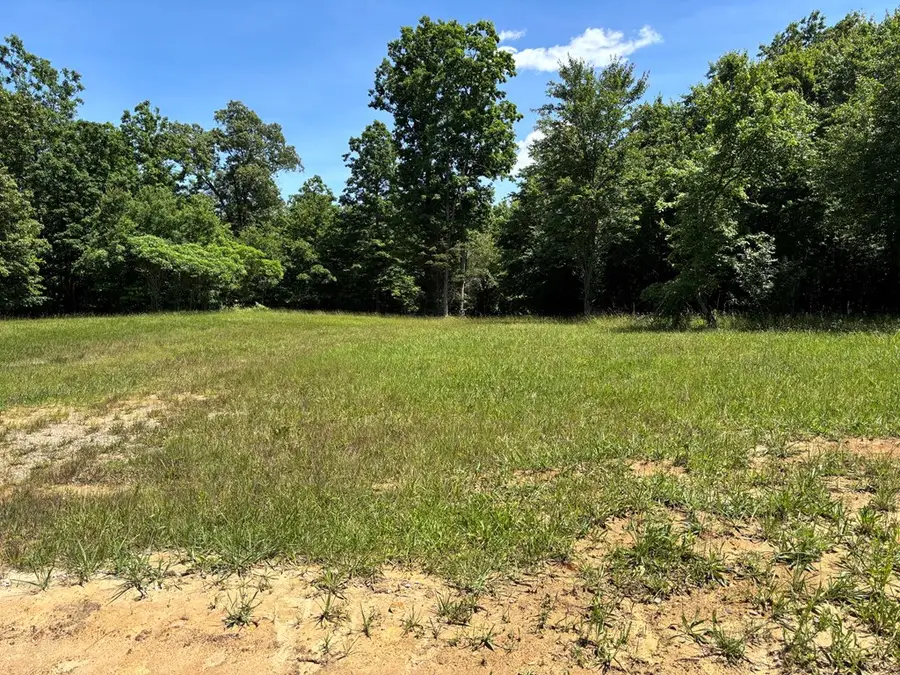 Lot 238 Long Branch Road, Spencer, TN 38585 - #3