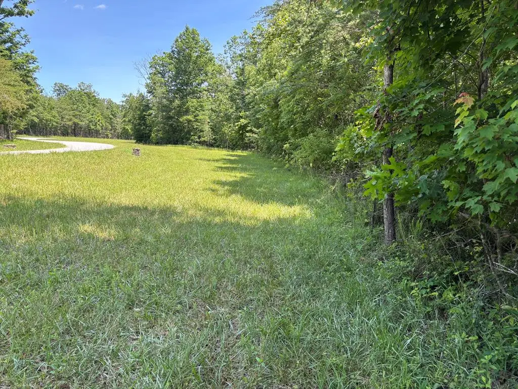 Lot 232 Long Branch Road, Spencer, TN 38585 - #1
