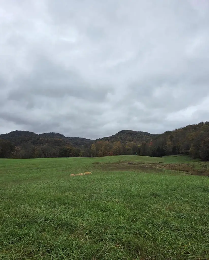 1768 Wilder Hwy, Crawford, TN 38554 - #1
