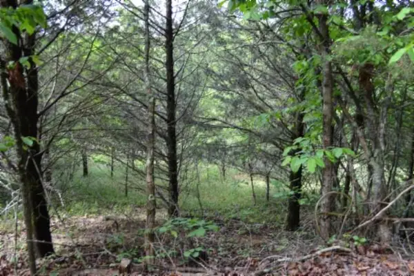 9ac Circle Rd, BURKESVILLE, KY 42717