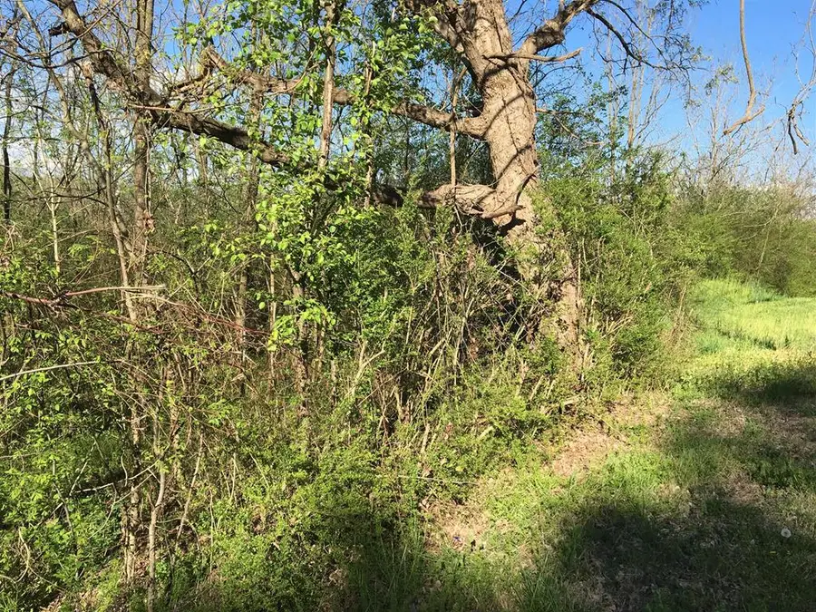 0 W Main St, Hartsville, TN 37074 - #3