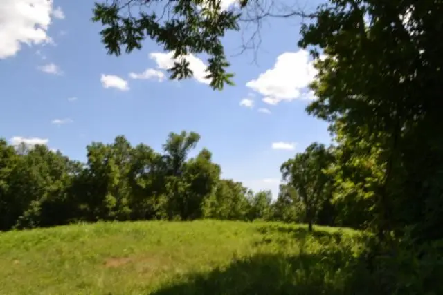 2390 Pea Ridge Fire Tower Rd, Celina, TN 38551 - #1