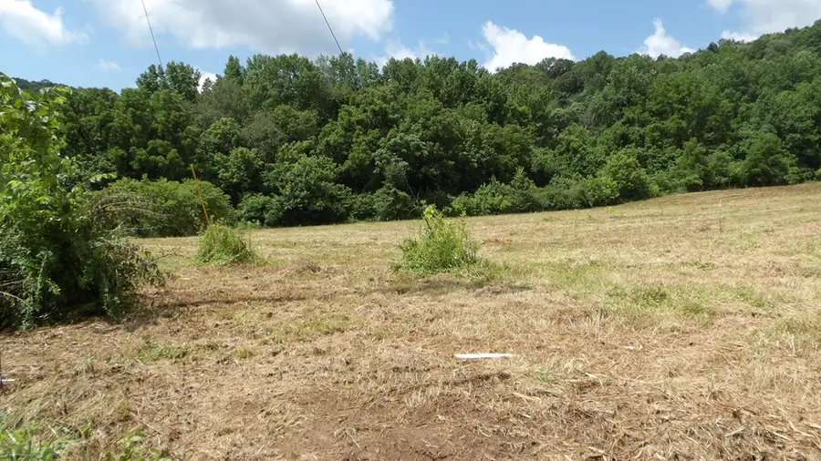 5.6ac Lonnie Reecer Rd, Celina, TN 38551 - #2