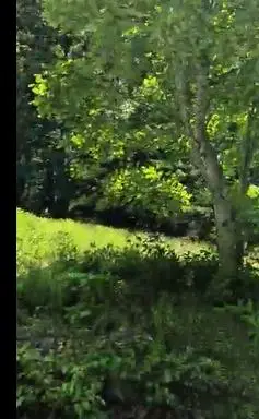 0 Bridge Water Rd, Spencer, TN 38585 - #3