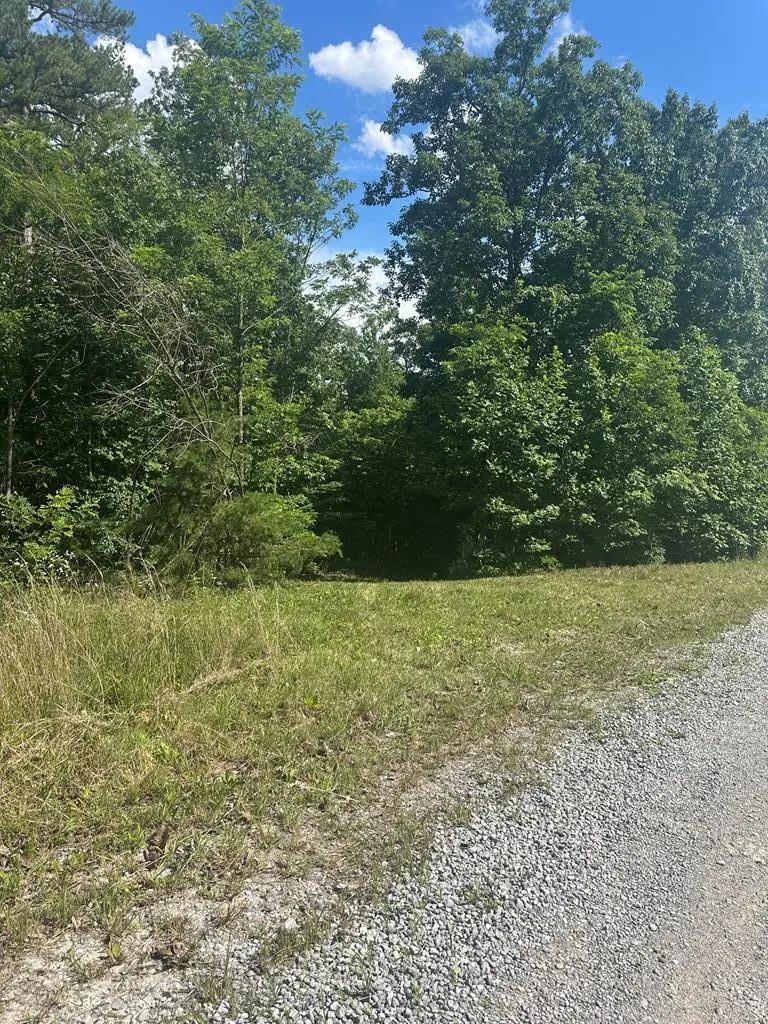 Lot 2 Buckeye Lane, Wilder, TN 38589 - #1