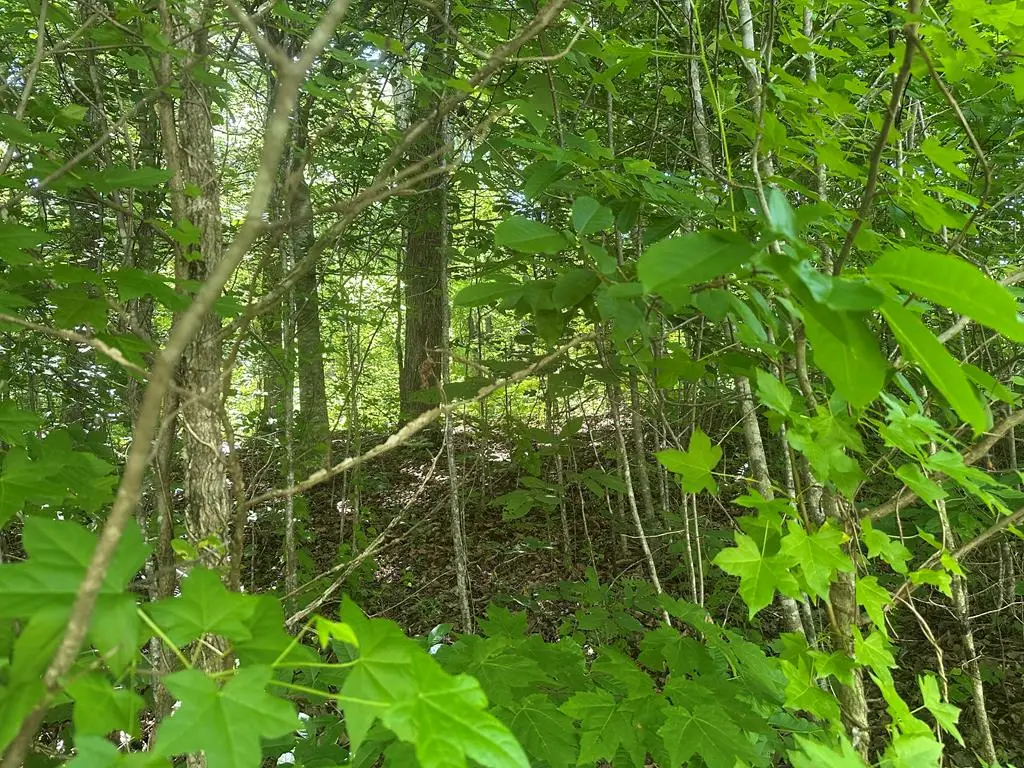 Lot 13 Lot 13 Apache Rd, Jamestown, TN 38556 - #1