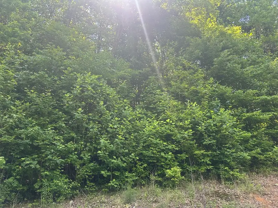 Lot 13 Lot 13 Apache Rd, Jamestown, TN 38556 - #2