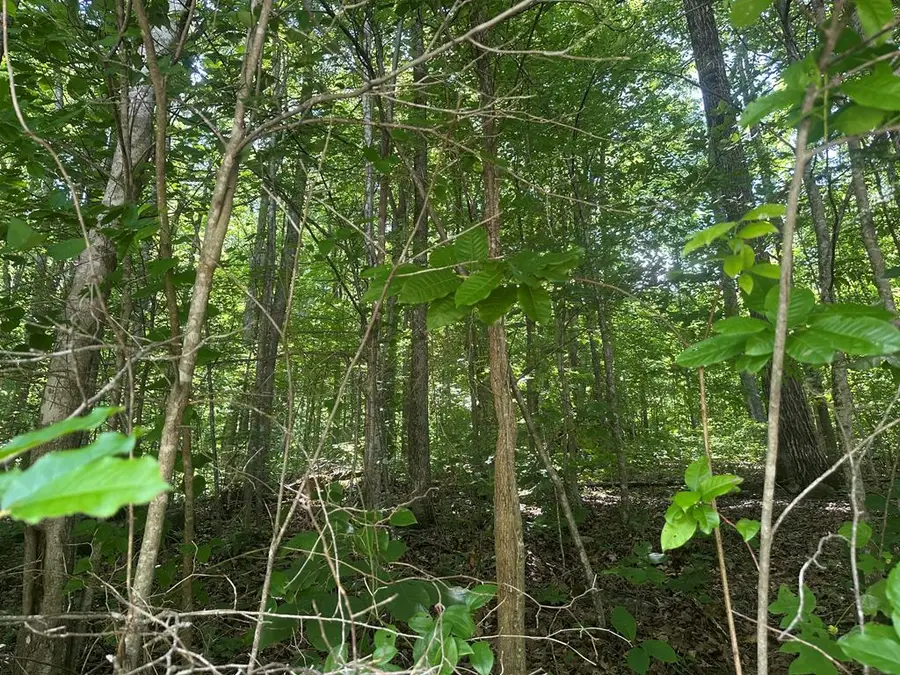 Lot 13 Lot 13 Apache Rd, Jamestown, TN 38556 - #3