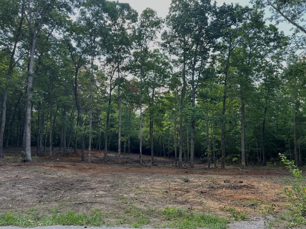 367 Hillis Cemetery Rd, Spencer, TN 38585 - #1