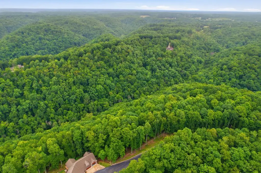 0 Serenity Ridge Rd, Sparta, TN 38583 - #1
