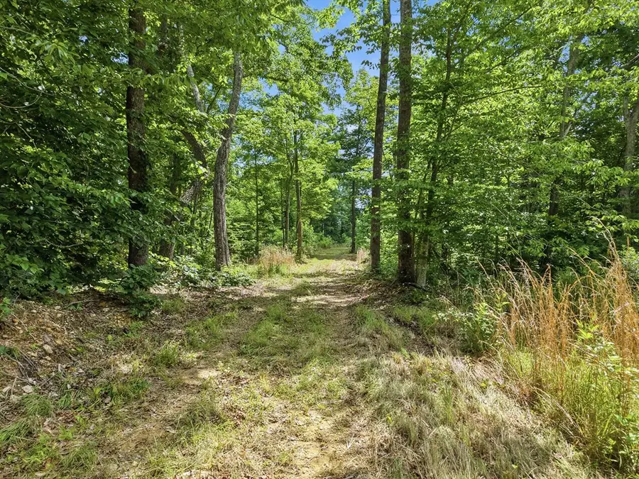 00 Backbone Rd, Sparta, TN 38583 - #3