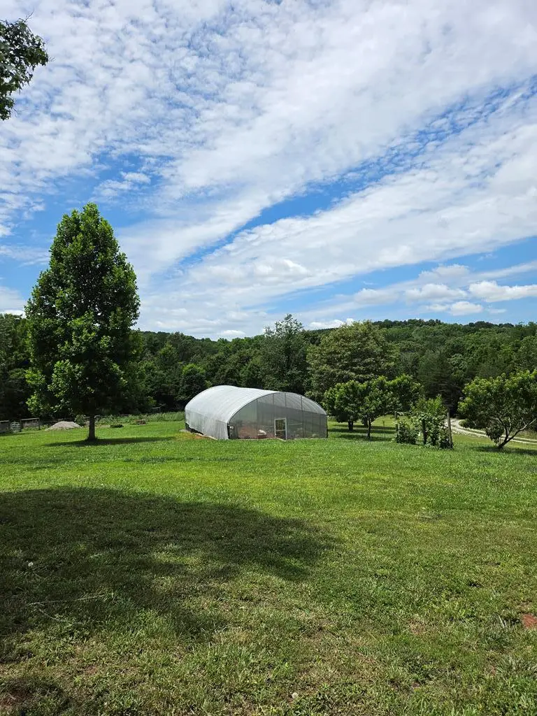 1302 Cummingsville & Sparkmantown Rd, Doyle, TN 38559 - #2
