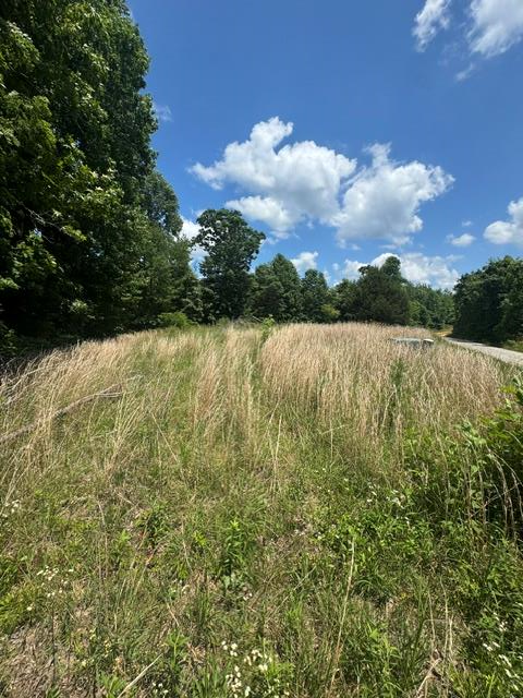 0 Claude Hargis Lane, CRAWFORD, TN 38554