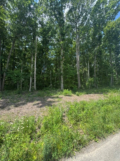 0 East Fork Ln., Crawford, TN 38554 - #3