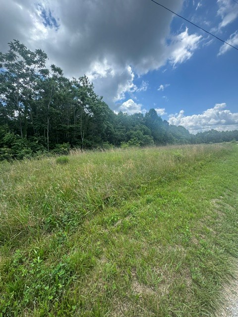 0 East Fork Ln., Crawford, TN 38554 - #3