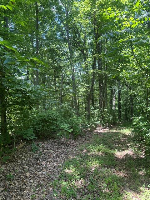 0 W Of Ward Fork Rd, Whitleyville, TN 38588 - #1