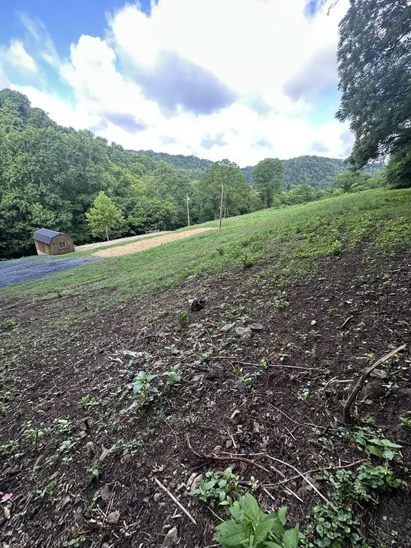 45 Friendship Hollow Rd N, Pleasant Shade, TN 37145