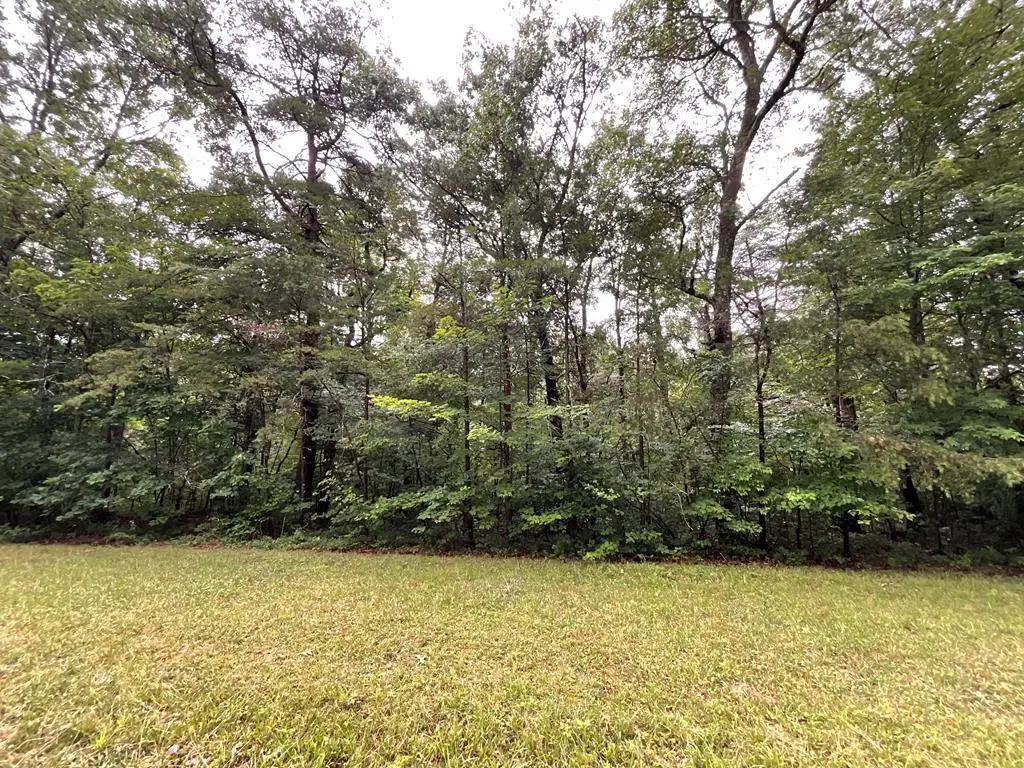 Lot 4 Divide Trail, Monterey, TN 38574 - #1