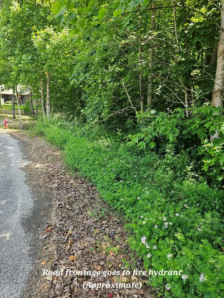 0 Old Tanner Cemetery, Crossville, TN 38571 - #3