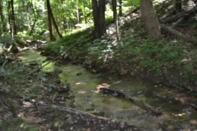 23+/-ac Pea Ridge Fire Tower Rd, Celina, TN 38551 - #3