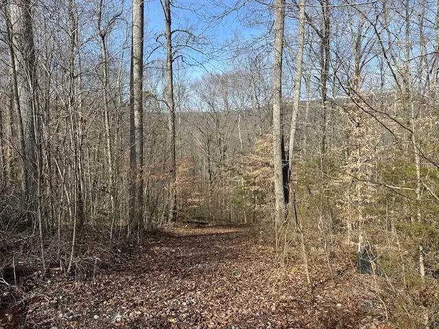 Lot 52 W Bobcat Lane, Wilder, TN 38589 - #1