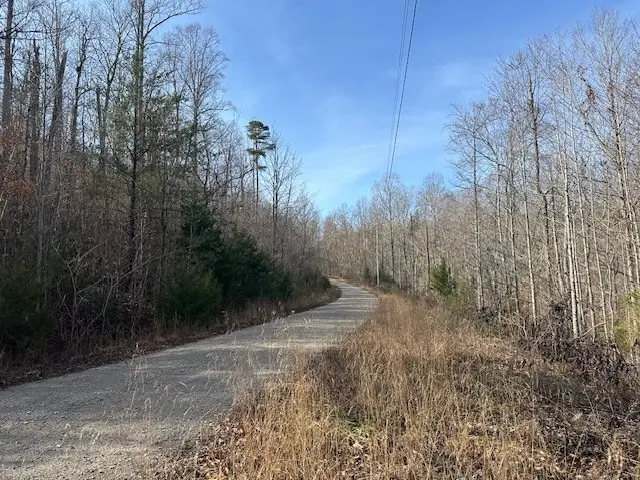 Lot 52 W Bobcat Lane, Wilder, TN 38589 - #2