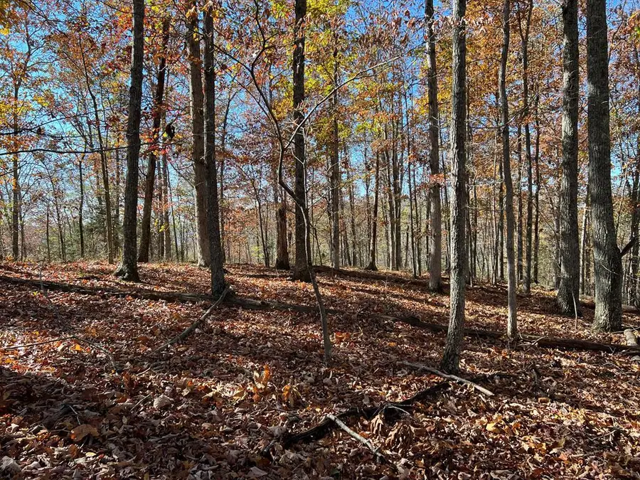 2.19 Ac Old Hwy 53, Celina, TN 38551 - #2