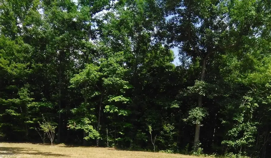 lot 340 Deep Branch, Wilder, TN 38589 - #3