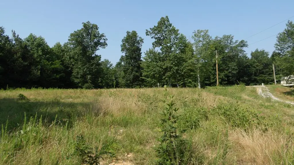 13.87ac Pleasant Cemetery Lane, Gainesboro, TN 38562 - #1