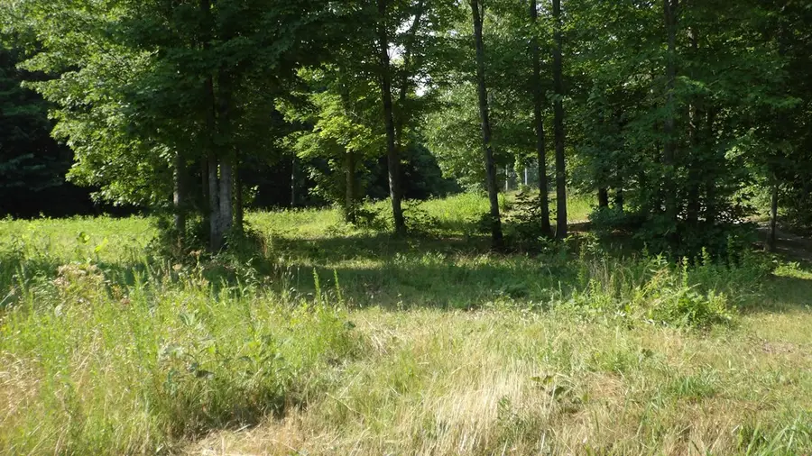 13.87ac Pleasant Cemetery Lane, Gainesboro, TN 38562 - #2