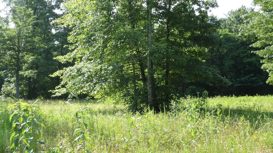 13.87ac Pleasant Cemetery Lane, Gainesboro, TN 38562 - #3